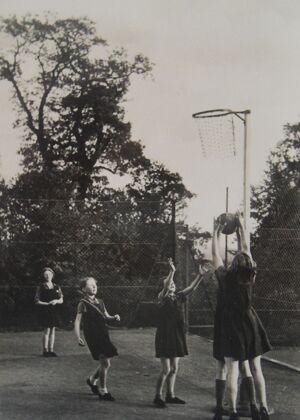 1950s netball